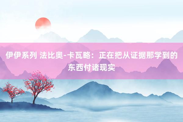 伊伊系列 法比奥-卡瓦略：正在把从证据那学到的东西付诸现实