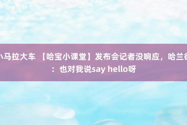 小马拉大车 【哈宝小课堂】发布会记者没响应，哈兰德：也对我说say hello呀