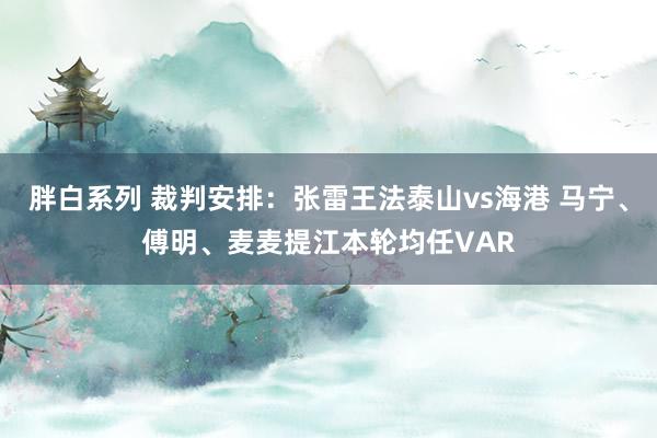 胖白系列 裁判安排：张雷王法泰山vs海港 马宁、傅明、麦麦提江本轮均任VAR