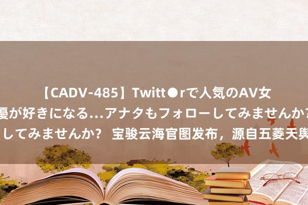 【CADV-485】Twitt●rで人気のAV女優 SNSでますますAV女優が好きになる…アナタもフォローしてみませんか？ 宝骏云海官图发布，源自五菱天舆架构D平台