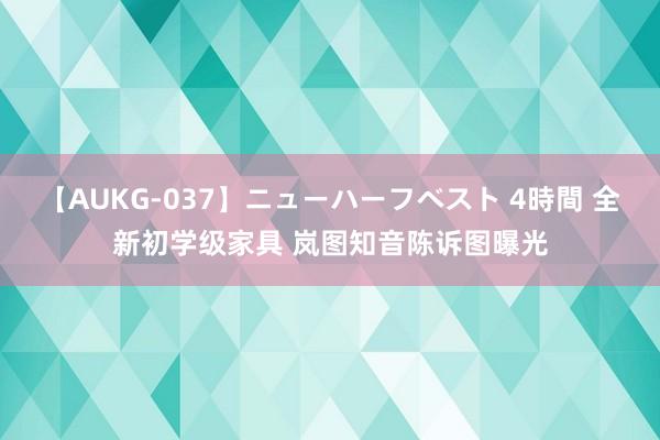 【AUKG-037】ニューハーフベスト 4時間 全新初学级家具 岚图知音陈诉图曝光