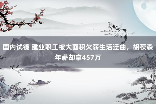 国内试镜 建业职工被大面积欠薪生活迂曲，胡葆森年薪却拿457万