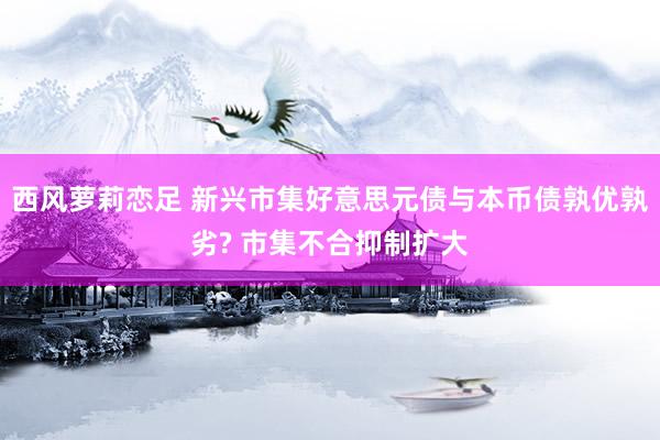 西风萝莉恋足 新兴市集好意思元债与本币债孰优孰劣? 市集不合抑制扩大