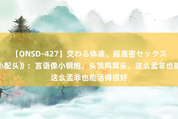 【ONSD-427】交わる体液、超濃密セックス4時間 《小配头》：言语像小钢炮，头顶鸡窝头，这么孟非也能活得很好