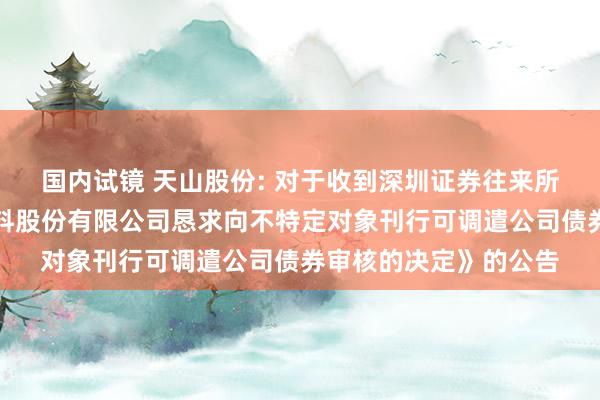 国内试镜 天山股份: 对于收到深圳证券往来所《对于远离对天山材料股份有限公司恳求向不特定对象刊行可调遣公司债券审核的决定》的公告