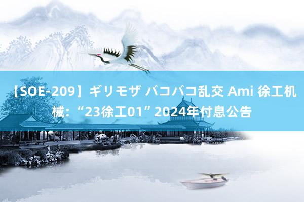 【SOE-209】ギリモザ バコバコ乱交 Ami 徐工机械: “23徐工01”2024年付息公告