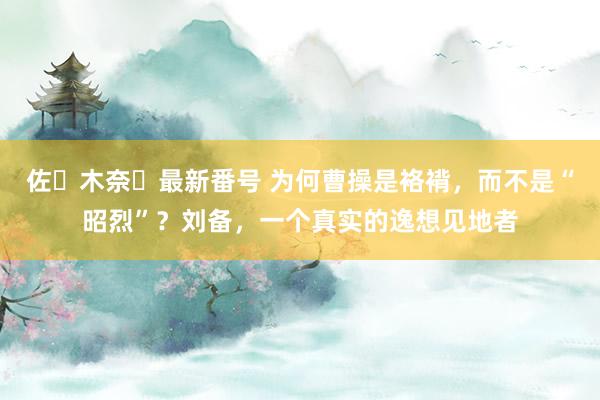 佐々木奈々最新番号 为何曹操是袼褙，而不是“昭烈”？刘备，一个真实的逸想见地者