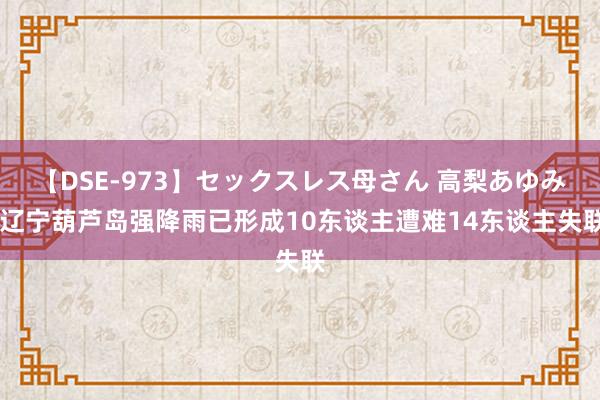 【DSE-973】セックスレス母さん 高梨あゆみ 辽宁葫芦岛强降雨已形成10东谈主遭难14东谈主失联