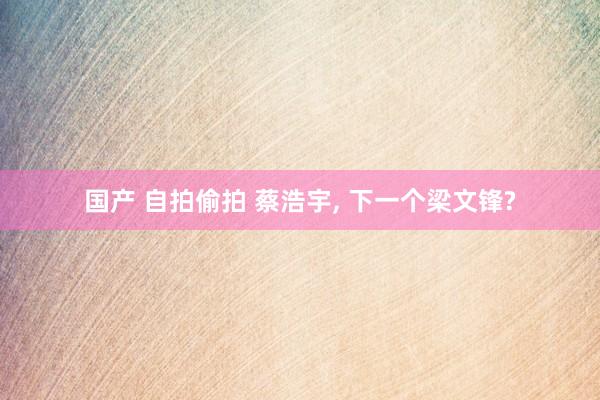 国产 自拍偷拍 蔡浩宇, 下一个梁文锋?